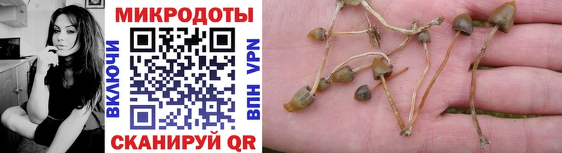 shop наркотические препараты blacksprut tor Боровск Псилоцибиновые грибы ЛСД